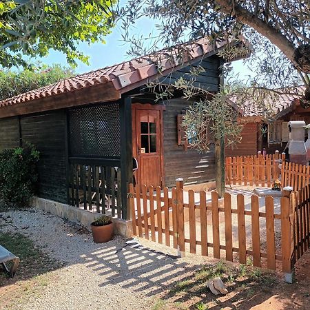 Entre Viejos Olivos Villa Benicolet Luaran gambar
