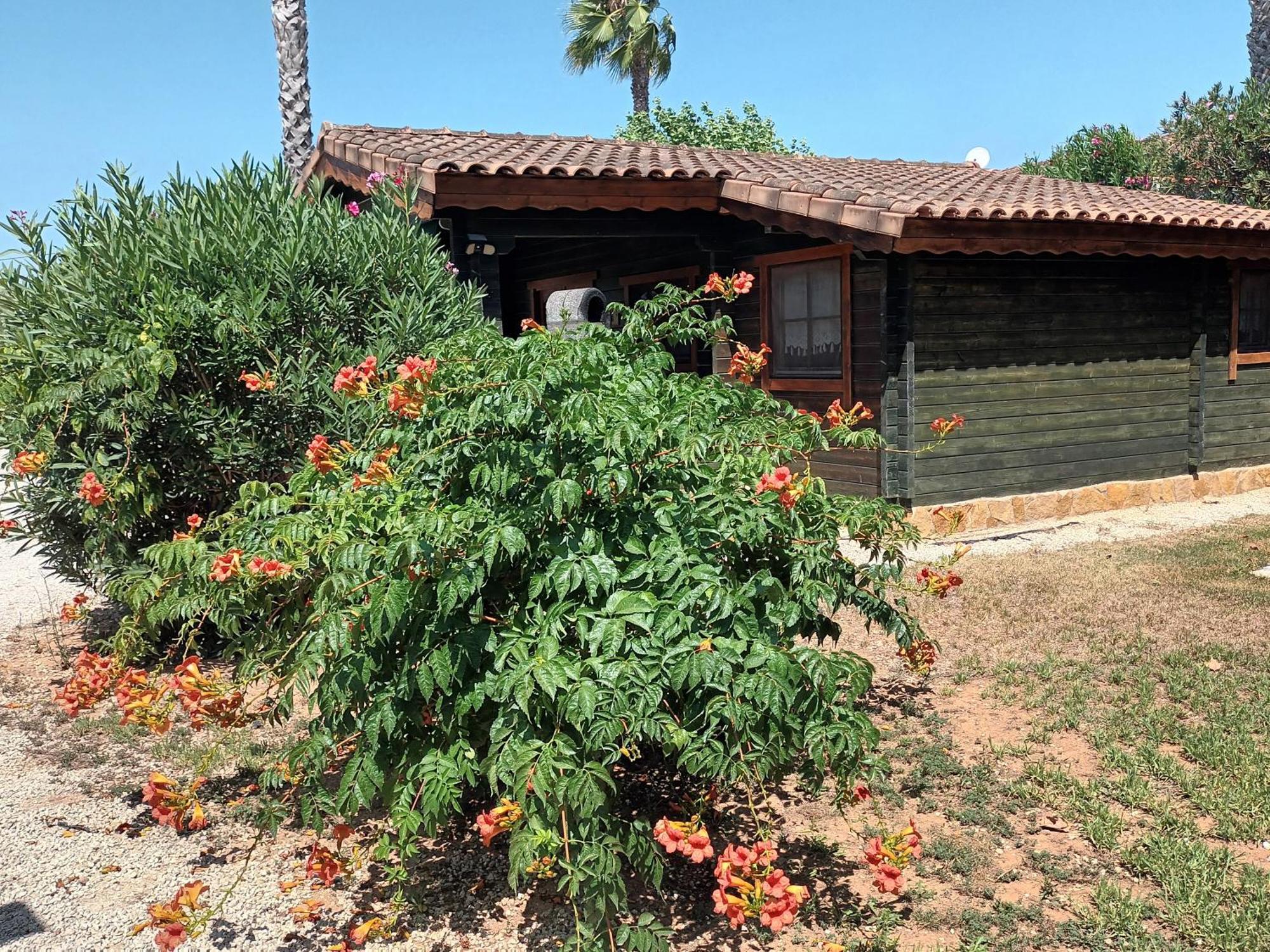 Entre Viejos Olivos Villa Benicolet Luaran gambar