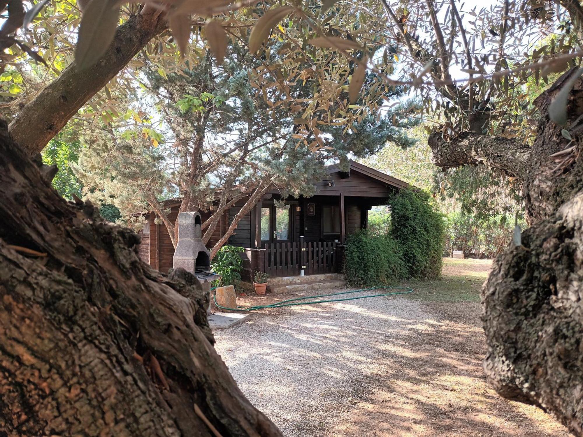 Entre Viejos Olivos Villa Benicolet Luaran gambar